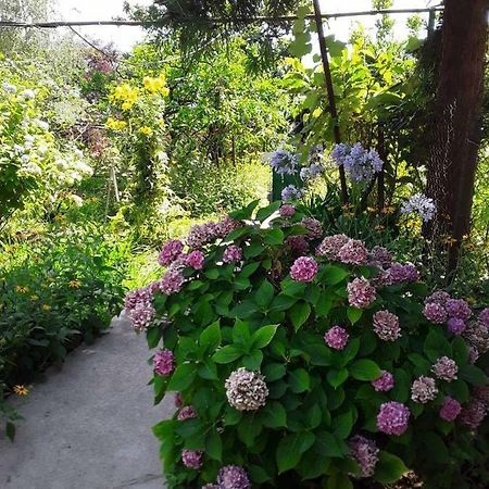 Zeleniy Dvorik Guest House New Athos Zewnętrze zdjęcie